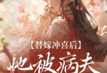 小说《替嫁冲喜后，她被病夫宠上天》章节阅读-扫文君