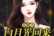 《未婚夫白月光回来,我麻溜让位》小说章节列表免费试读,许知意秦子墨小说在线阅读-扫文君