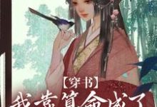 穿书：我靠算命成了修真界万人迷最新章节，穿书：我靠算命成了修真界万人迷章节在线阅读-扫文君