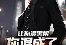 寻找能够免费阅读让你混黑帮，你混成了社会英雄？小说的平台-扫文君