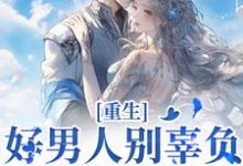小说《重生:好男人别辜负,渣男别放过》章节阅读-扫文君