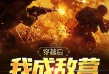 完结版《穿越后我成敌营大反派》章节目录在线阅读-扫文君