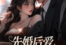 先婚后爱，总裁乖乖躺好最新章节，先婚后爱，总裁乖乖躺好免费阅读-扫文君