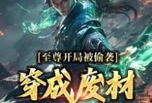 至尊开局被偷袭，穿成废材又如何？小说有没有完结版在线？-扫文君