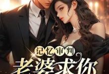 小说《记忆审判：老婆求你看我一眼》章节免费阅读-扫文君