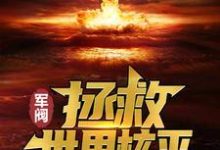 哪里能找到军阀：拯救世界核平小说的全部章节？-扫文君
