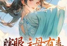 瞎眼主母有毒，不做也罢端木静姝，瞎眼主母有毒，不做也罢在线无弹窗阅读-扫文君
