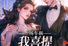 一场车祸，我喜提妻女一双？免费阅读，一场车祸，我喜提妻女一双？章节目录-扫文君