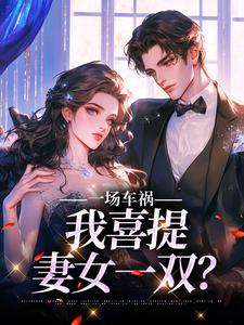 一场车祸，我喜提妻女一双？免费阅读，一场车祸，我喜提妻女一双？章节目录
