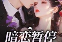 暗恋暂停,开始恋爱小说完结版章节免费阅读-扫文君