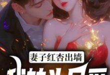 完结版《妻子红杏出墙,我转头另爱》章节阅读-扫文君