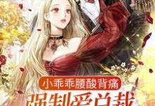 小乖乖腰酸背痛，强制爱总裁是疯批这本小说在哪里可以看？哪里有免费试读章节？-扫文君