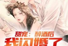 《甜宠：醉酒后，我闪婚了千金总裁》小说章节列表免费试读，林南小说在线阅读-扫文君