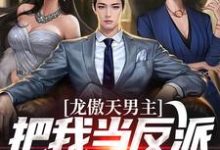龙傲天男主把我当反派？我在线发疯陆毅小说免费阅读-扫文君