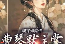 魂穿如懿传，曹琴默主掌后宫大权曹琴默小说在线章节目录阅读最新章节-扫文君
