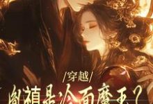 安然胤禛小说穿越：胤禛是冷面魔王？历史骗我！在线阅读章节-扫文君