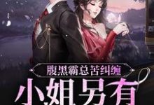 腹黑霸总苦纠缠,小姐另有心上人陆慎司沈漾小说在线章节目录阅读最新章节-扫文君