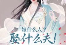 嫁什么人？娶什么夫！当然修仙啊章节免费在线阅读，苏绾柠叶观天完结版-扫文君