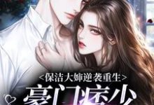 保洁大婶逆袭重生，豪门痞少变忠犬崔慧珠李廷镐，保洁大婶逆袭重生，豪门痞少变忠犬章节在线阅读-扫文君