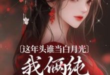 已完结小说《这年头谁当白月光，我俩纯纯走剧情》章节免费阅读-扫文君