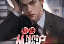 抗战：从淞沪保卫战开始这本小说完结了吗？免费查看最新章节-扫文君