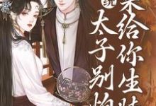 许锦意小说叫什么（系统：太子别怕，我来给你生娃了免费阅读）-扫文君