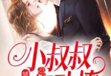领证后，小叔叔主动撩小说全文阅读需要付费吗？寻找免费资源-扫文君