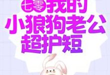 小说《七零：我的小狼狗老公超护短》章节免费阅读-扫文君
