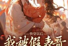 完结版《快穿以后，我被假表哥给缠上了》在线免费阅读-扫文君