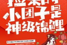 小说《捡来的小团子是神级锦鲤》在线章节阅读-扫文君