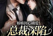 陆铭声顾岚小说《娇娇封心锁爱，总裁深陷火葬场了》在线阅读-扫文君