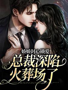 陆铭声顾岚小说《娇娇封心锁爱，总裁深陷火葬场了》在线阅读