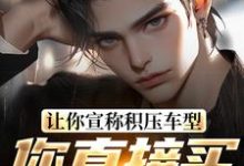 让你宣称积压车型，你直接买脱销？这本小说怎么样？免费在线阅读试试-扫文君