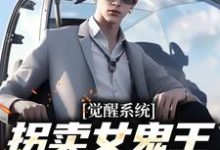 觉醒系统：拐卖女鬼王就变无敌小说，觉醒系统：拐卖女鬼王就变无敌最新章节-扫文君