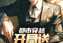 《都市穿越：开局送审判官坐牢》全集免费在线阅读（金胜）-扫文君