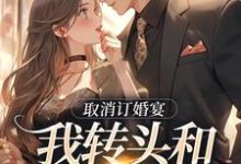取消订婚宴，我转头和别人领证小说的无弹窗阅读体验，寻找免费阅读网站-扫文君