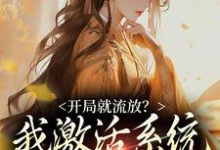 开局就流放？我激活系统带飞少夫人小说，开局就流放？我激活系统带飞少夫人章节在线阅读-扫文君