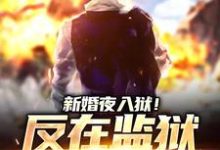 完结版《新婚夜入狱！反在监狱成大佬》免费阅读-扫文君