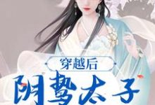 小说《穿越后，阴鸷太子为爱发疯》章节免费阅读-扫文君