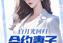 求白月光回归，合约妻子和我离婚了小说的全文免费阅读链接-扫文君