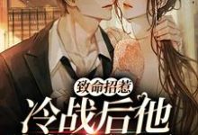 致命招惹：冷战后他靠撒娇求和最新章节，致命招惹：冷战后他靠撒娇求和章节在线阅读-扫文君