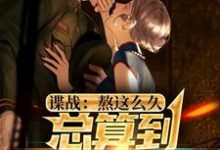 谍战：熬这么久，总算到美人计了小说全文阅读需要付费吗？寻找免费资源-扫文君