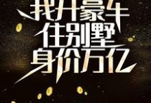 分手后，我开豪车住别墅身价万亿小说阅读，分手后，我开豪车住别墅身价万亿完结版-扫文君