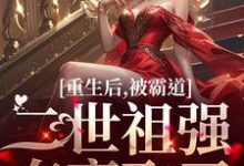 《重生后，被霸道二世祖强夺豪取了》小说章节在线试读，《重生后，被霸道二世祖强夺豪取了》最新章节目录-扫文君