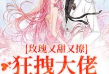 《玫瑰又甜又撩，狂拽大佬只想要名分》小说祁姝祁斯吟章节章节免费在线阅读-扫文君