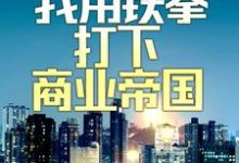 小说《兵王入红尘：我用铁拳打下商业帝国》章节免费阅读-扫文君