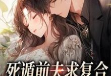 死遁前夫求复合，再婚老公红了眼姜玉凝萧厉野小说免费阅读-扫文君