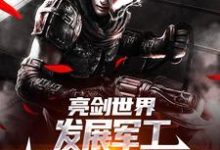 于业李云龙小说完结版在线阅读，亮剑世界：发展军工我帮李云龙高升免费看-扫文君