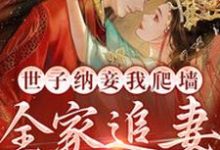 世子纳妾我爬墙，全家追妻悔断肠盛知婉商行聿小说在线章节免费阅读-扫文君