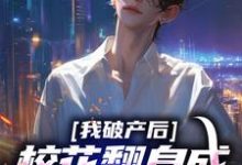 陈述苏晴晚小说《我破产后，校花翻身成总裁要养我？》在线阅读-扫文君